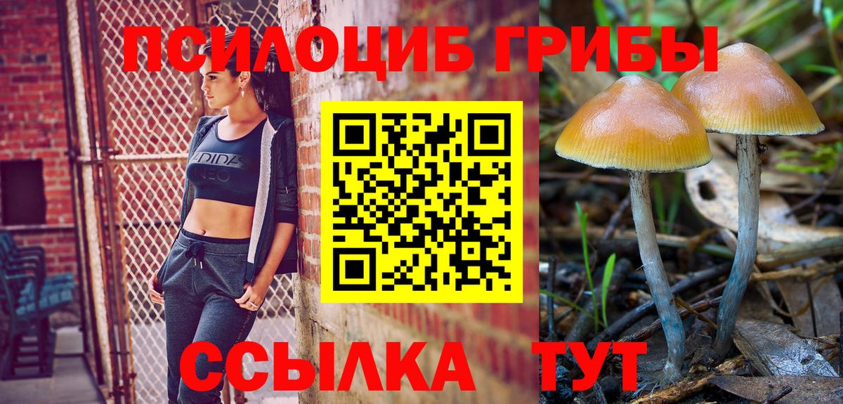 Псилоцибиновые грибы MAGIC MUSHROOMS Бийск