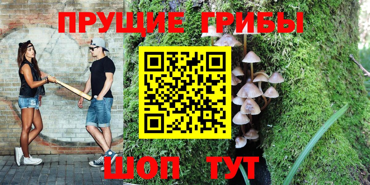 Псилоцибиновые грибы Cubensis  Вход с VPN  Бийск 